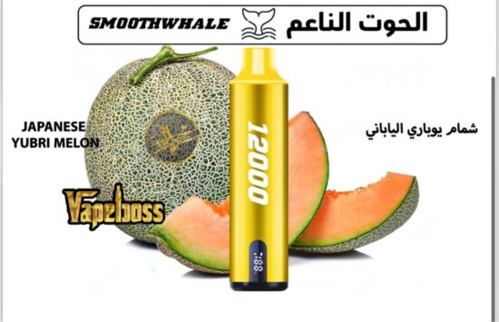 Smooth Whale Yubari Melon 12000 Puffs