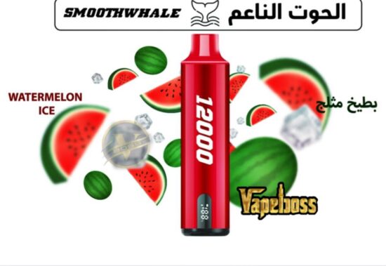 Smooth Whale Watermelon Ice 12000 Puffs