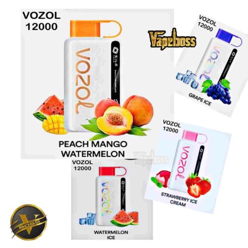 Vozol-Star-12000-Puffs-Disposable-Vape-Dubai-500x500.jpg