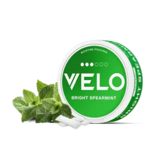 Velo Bright Spearmint in Dubai Abu Dhabi and UAE