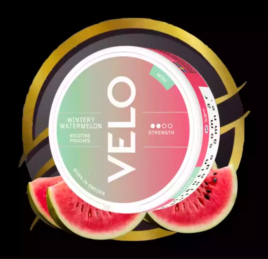 Velo wintery watermelon