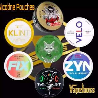 NICOTINE POUCHES