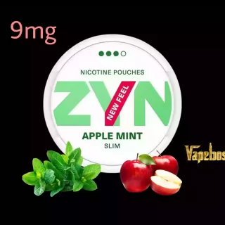 Zyn Apple Mint 9mg Nicotine Pouches in Dubai, Abu Dhabi, UAE