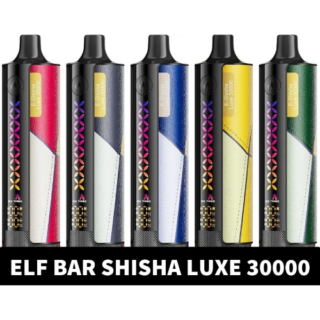 Elfbar E Shisha 30000 Puffs in Dubai Abu Dhabi and UAE